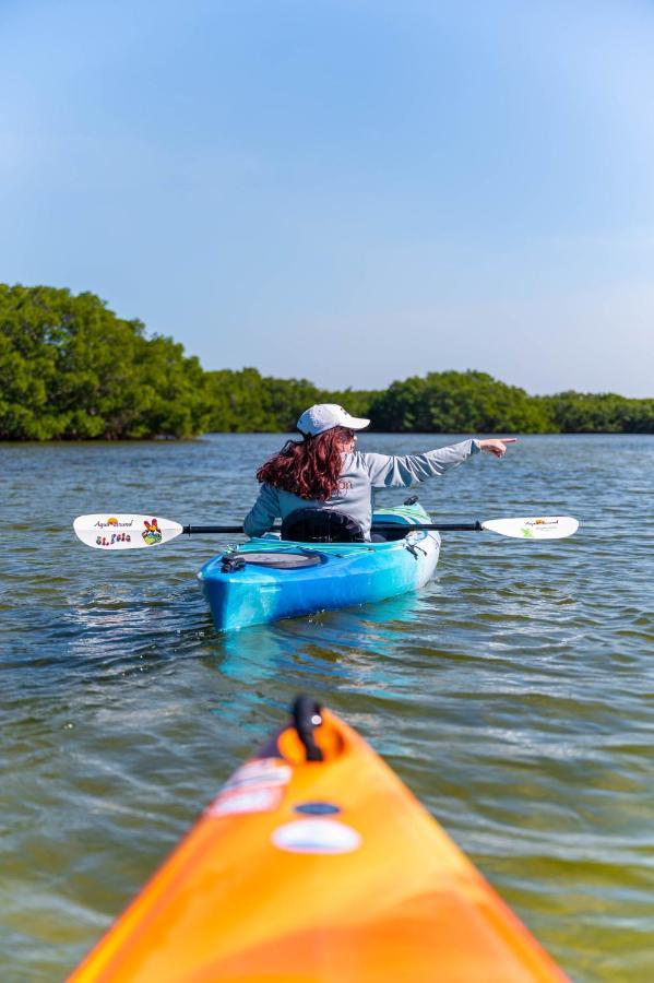 Candlewood Suites - Safety Harbor By Ihg Bagian luar foto